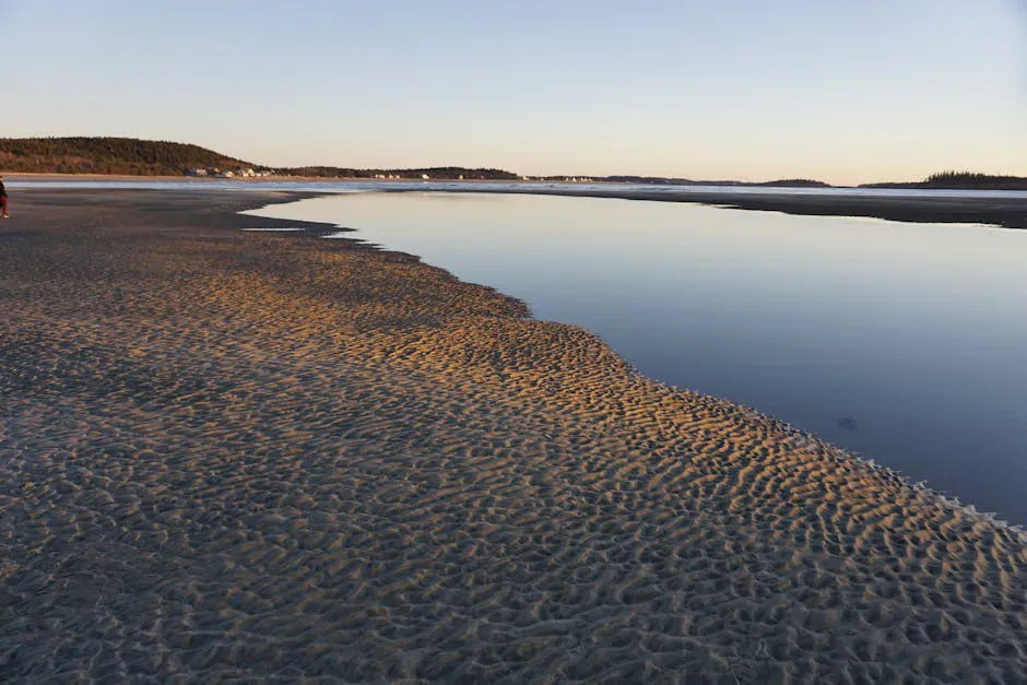 Camp Ellis Beach