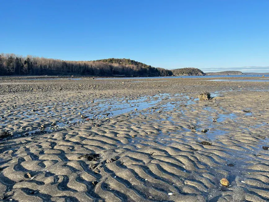 Crescent Beach State Park