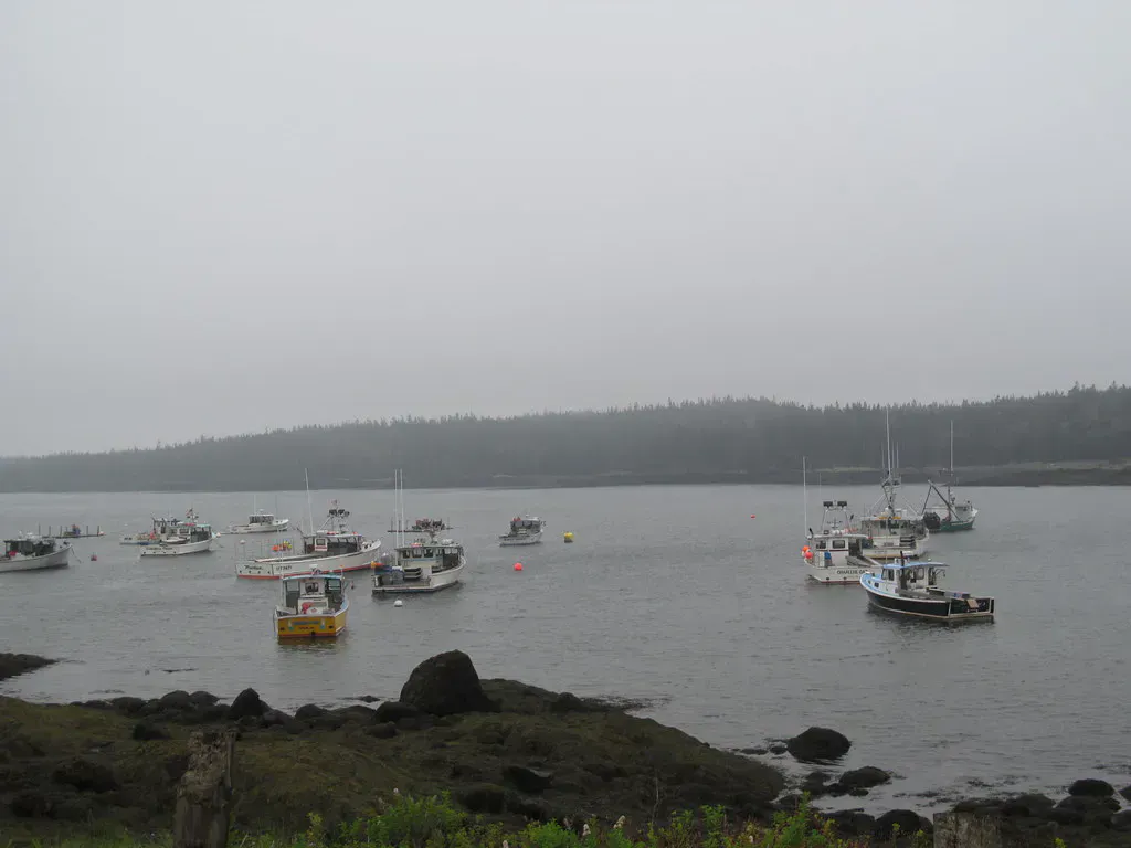 Cutler Coast Beaches