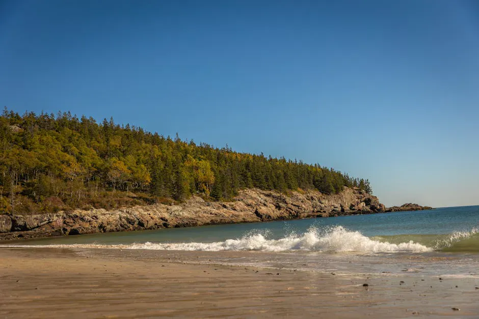 Sandy River Beach
