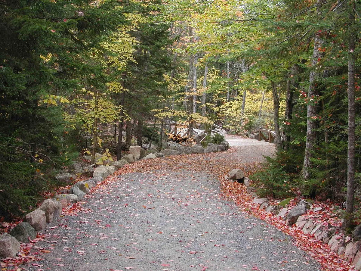 An Acadia National Park carriage road with fall foliage and crushed-gravel surface, the kind of easy trail that works for families