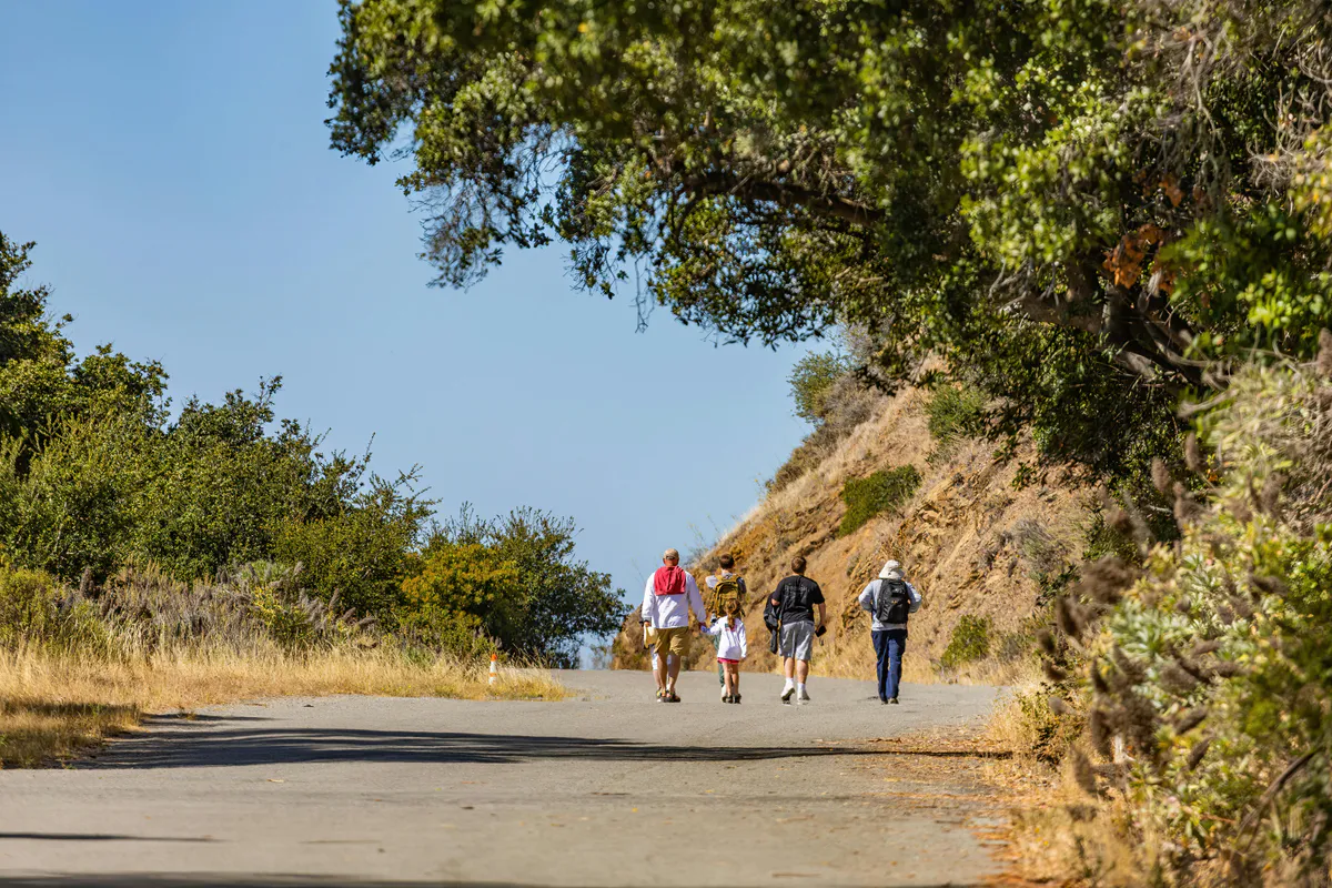 10 Best Easy Hikes in Maine for Beginners and Families
