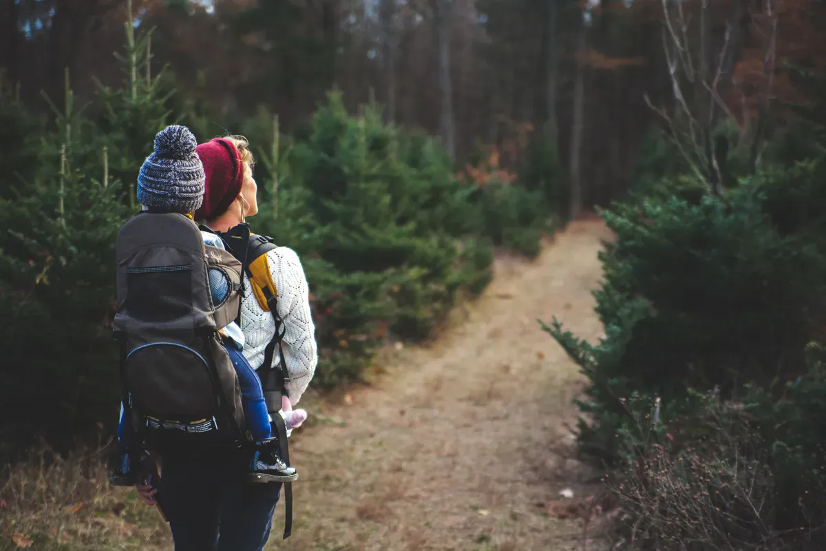 A parent hiking through a forest trail with a child riding in a backpack-style hiking carrier