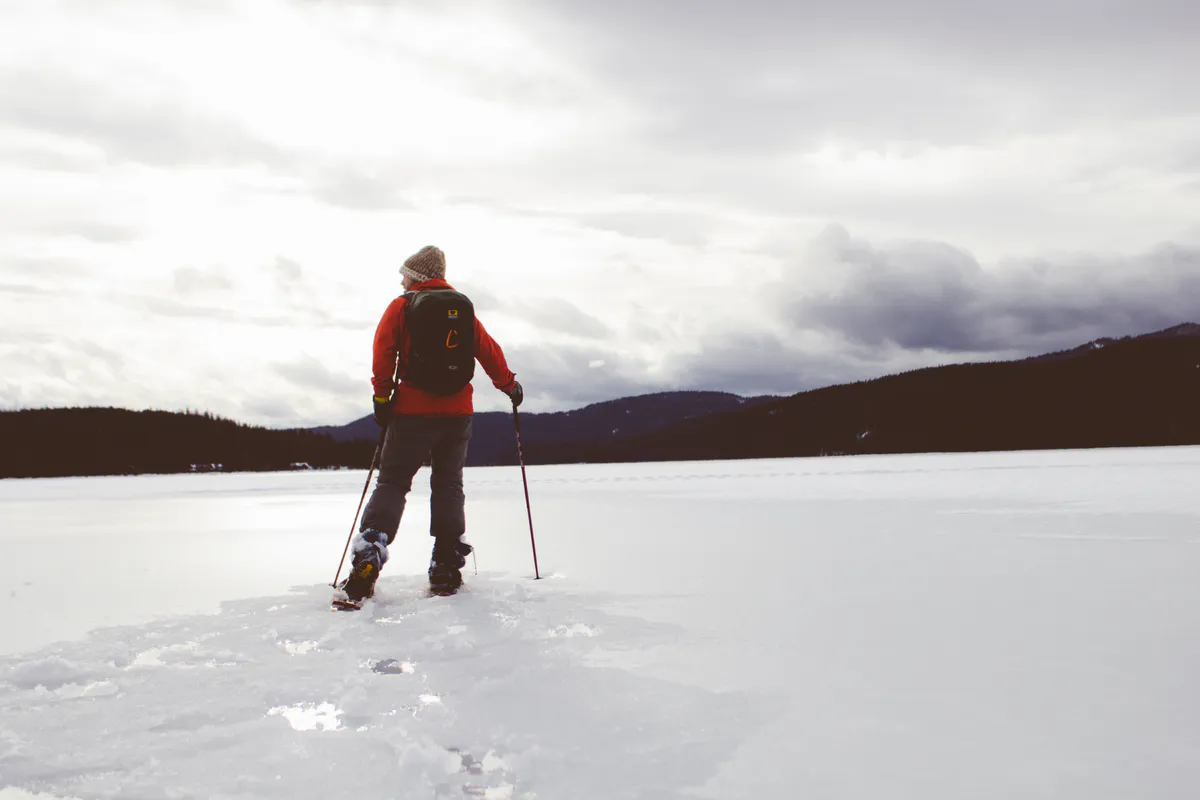 Cross-country skier in winter forest