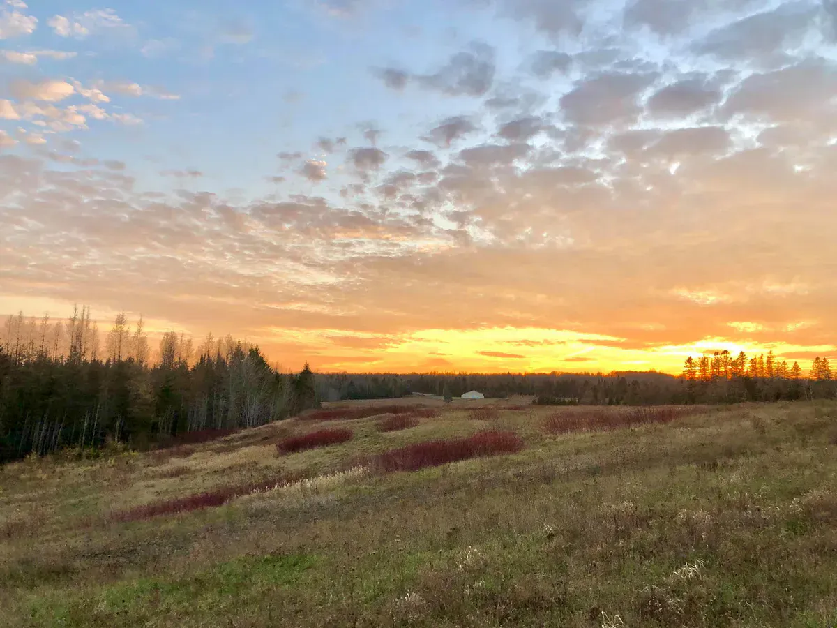 Aroostook State Park