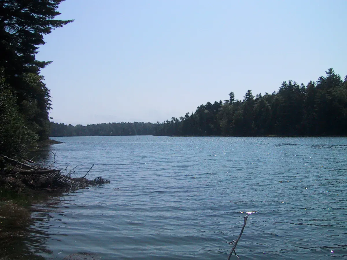 Cobscook Bay State Park