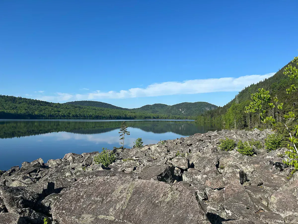 Deboullie Public Lands