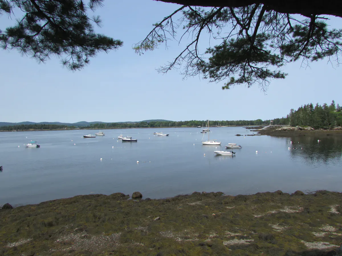 Duck Harbor Campground, Isle au Haut