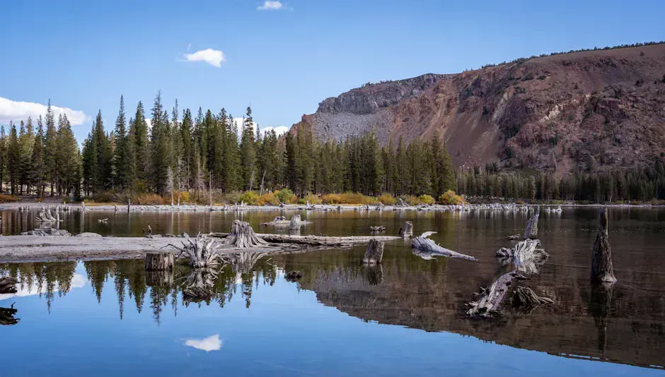 Jo-Mary Lake Campground