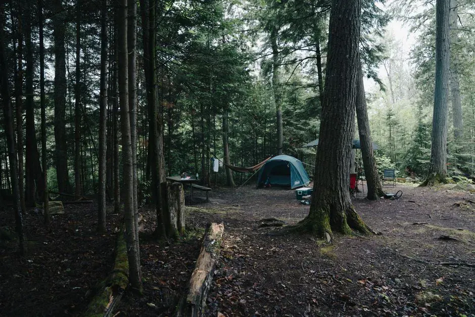 South Arm Campground