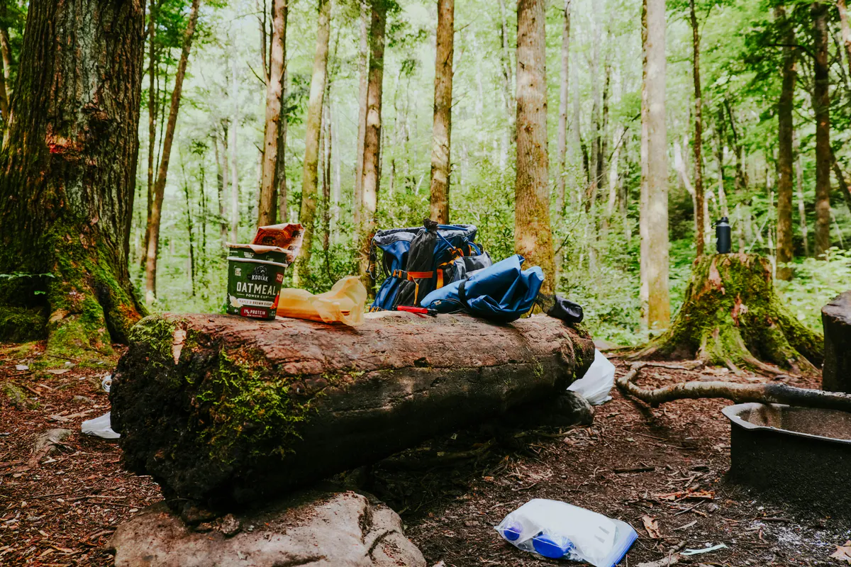 Best Bear-Resistant Food Storage for Maine Camping (2026)