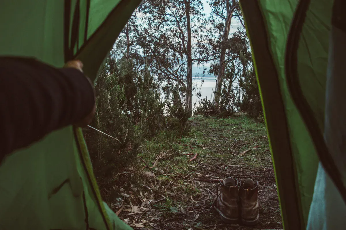 View from a tent looking out at a serene lakeside forest