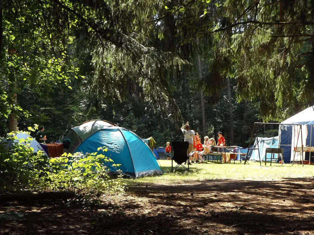 Tents set up in a wooded campsite, showing forest-protected pitching that handles Maine wind and weather