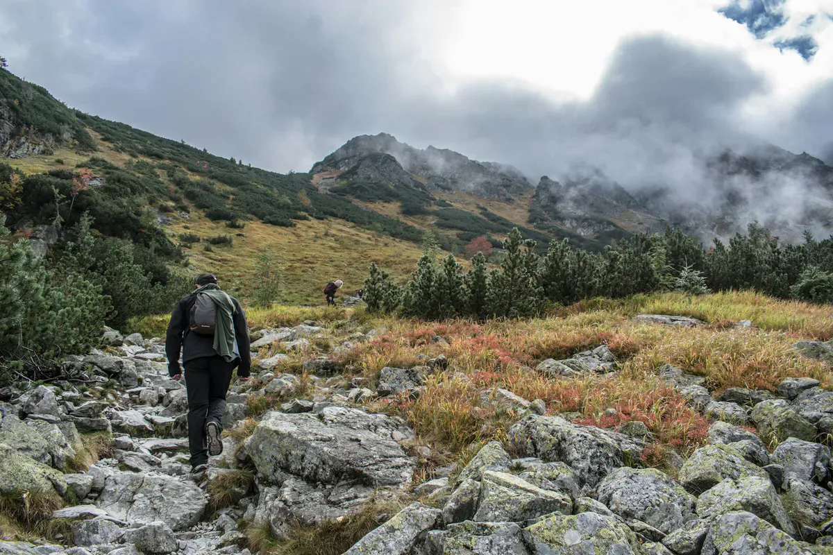 Hikers navigating a rocky forest trail in Maine