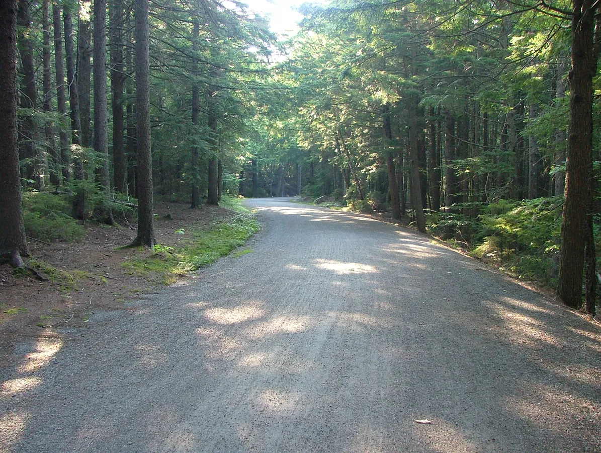 An Acadia National Park carriage road in summer, the kind of family-friendly trail families take kids' outdoor gear on