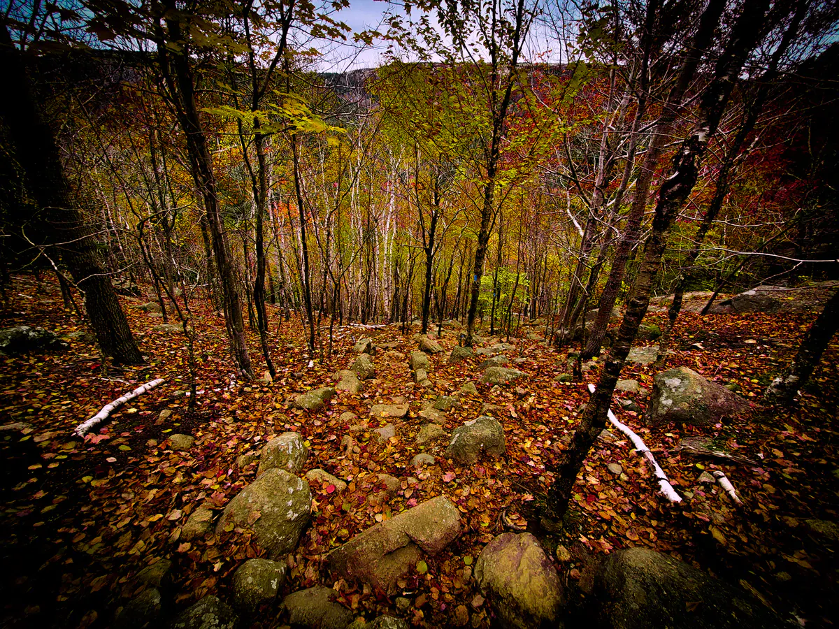 The South Bubble Trail in Acadia, where the granite slabs and root sections demand real grip from kid hiking shoes
