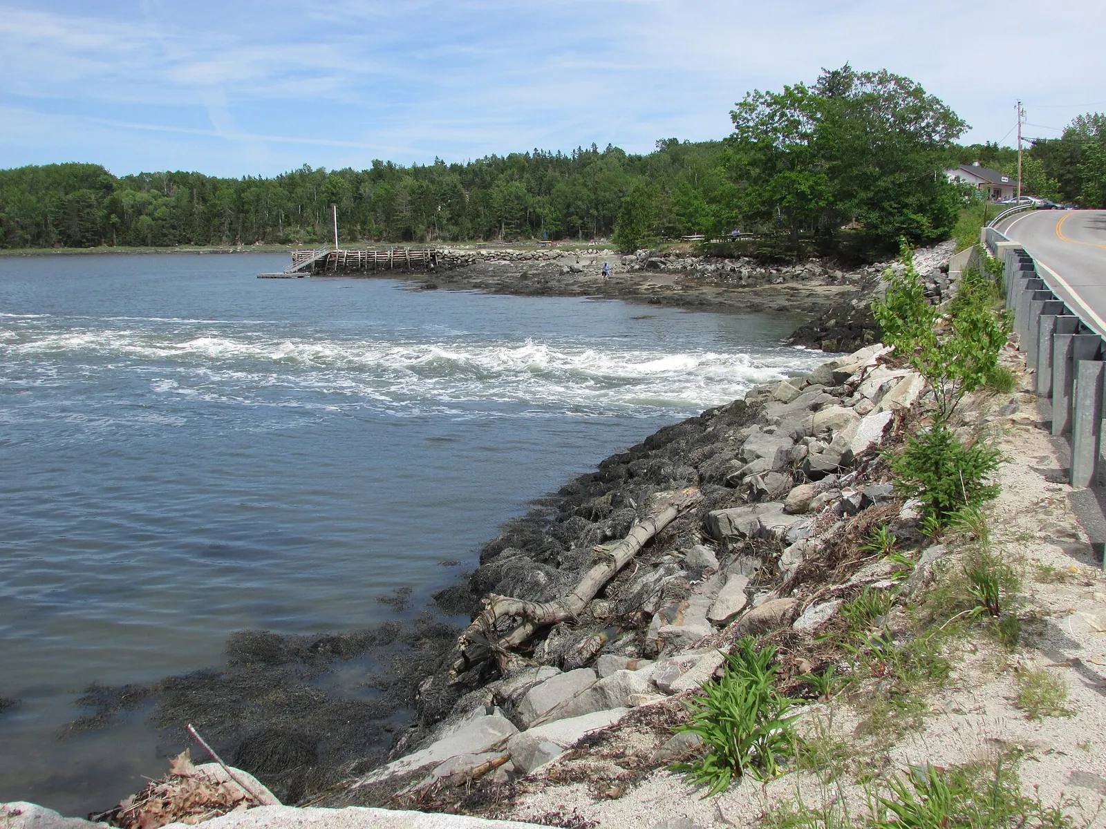 The reversing tidal flow at Bagaduce Falls near Brooksville, Maine.