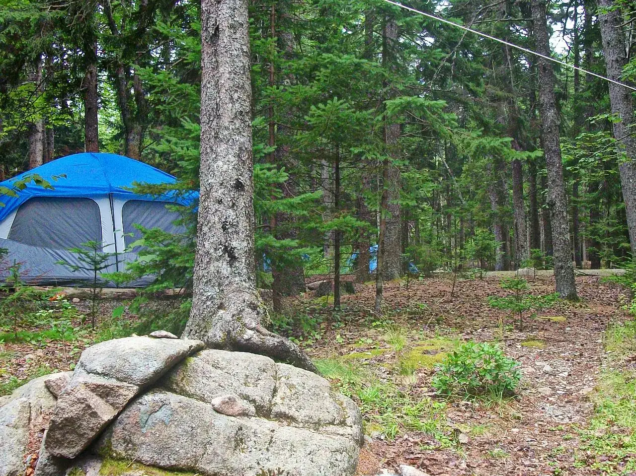 A tent site at Blackwoods Campground in Acadia National Park, Maine.