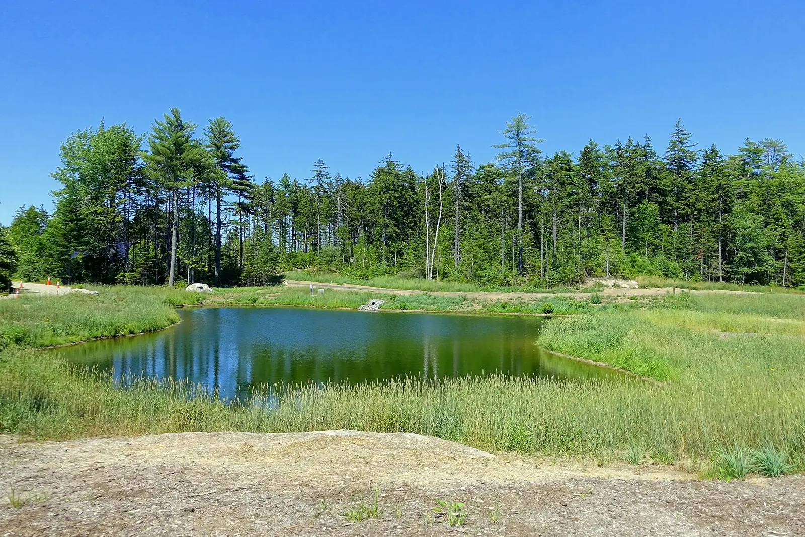 A pond at Coastal Maine Botanical Gardens in Boothbay, Maine.