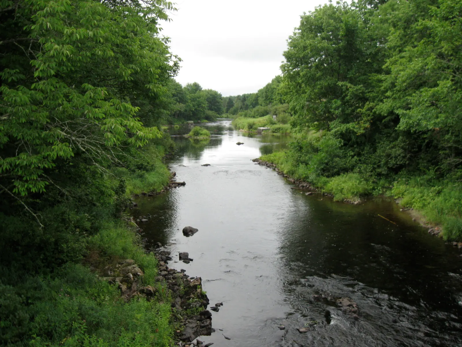 The Dennys River from Bunker Hill Road in Dennysville, Maine.
