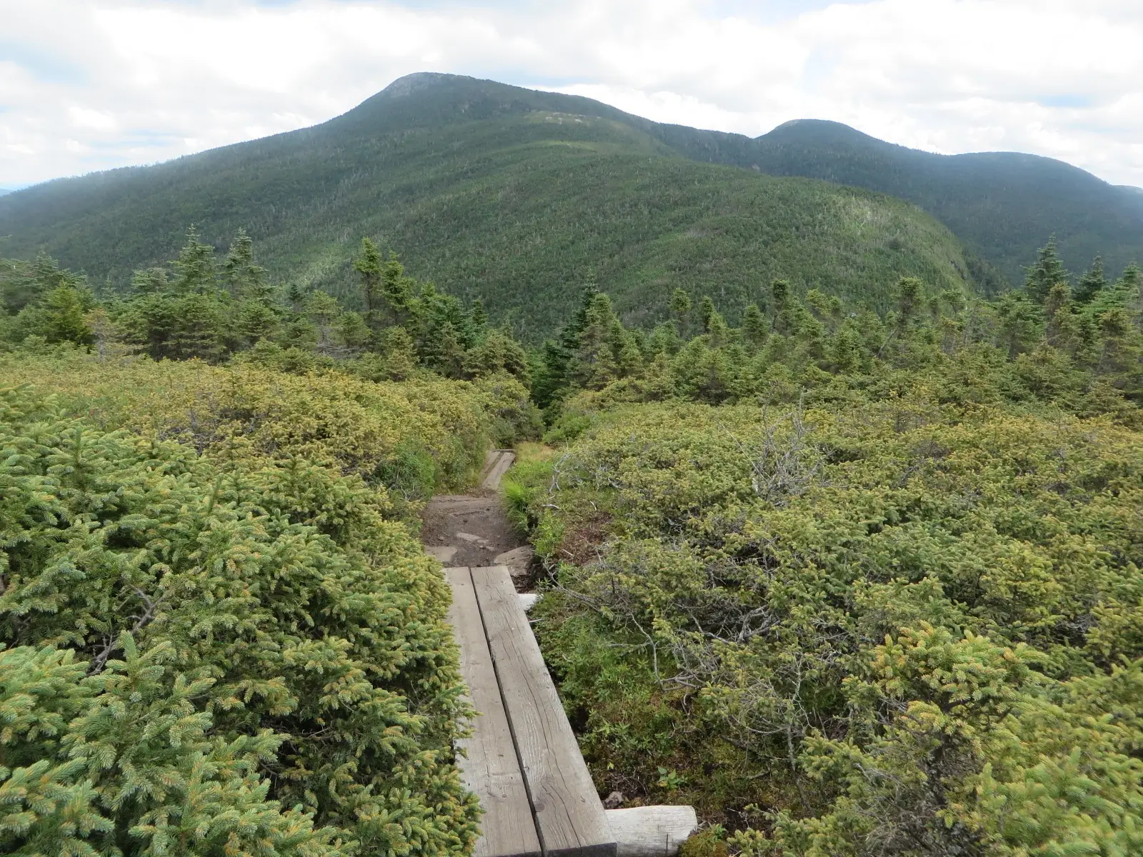 Goose Eye Mountain in the Mahoosuc Range, seen from Mount Carlo, Maine.