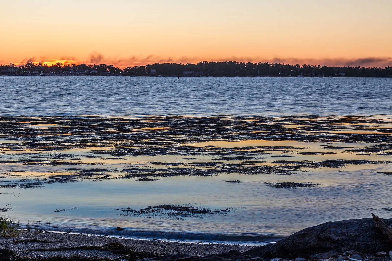 Evening light at Potts Point Preserve in Harpswell, Maine.