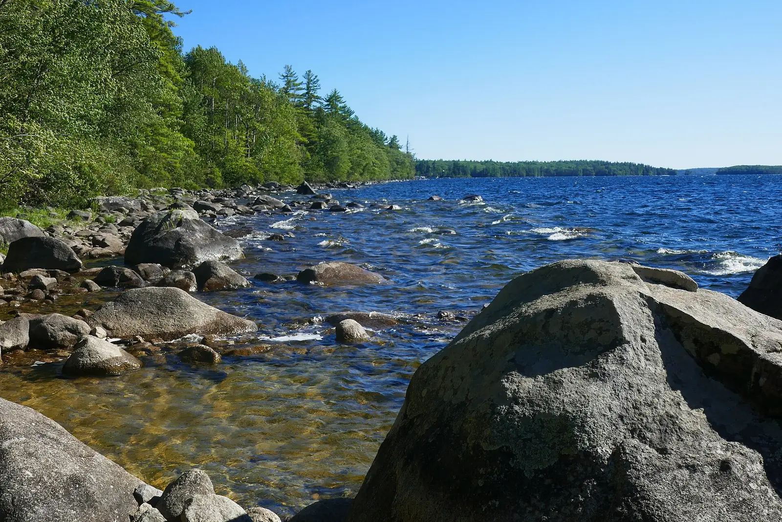 The Sebago Lake shoreline in Standish, Maine.