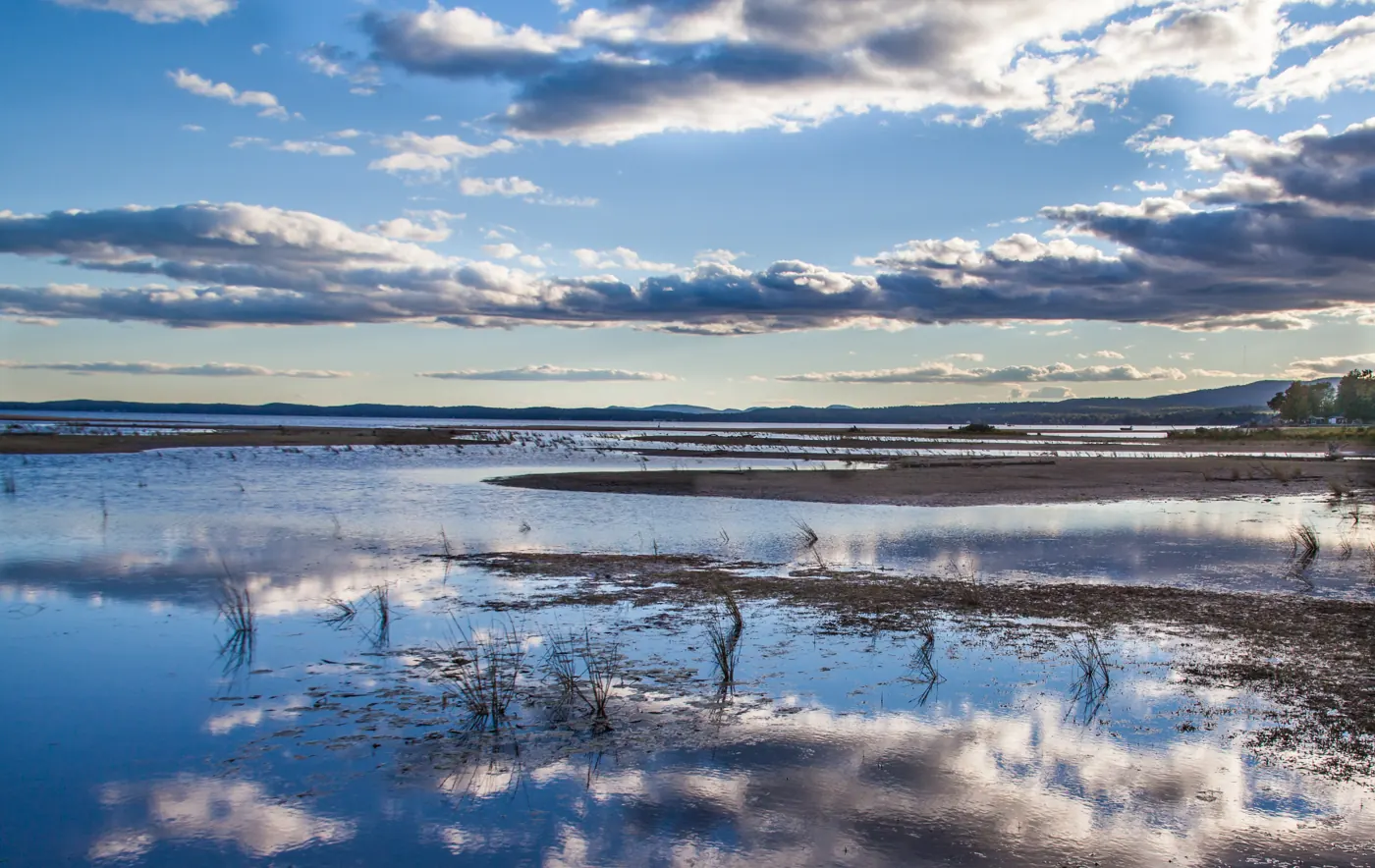 The shore at Sebago Lake State Park, Maine.