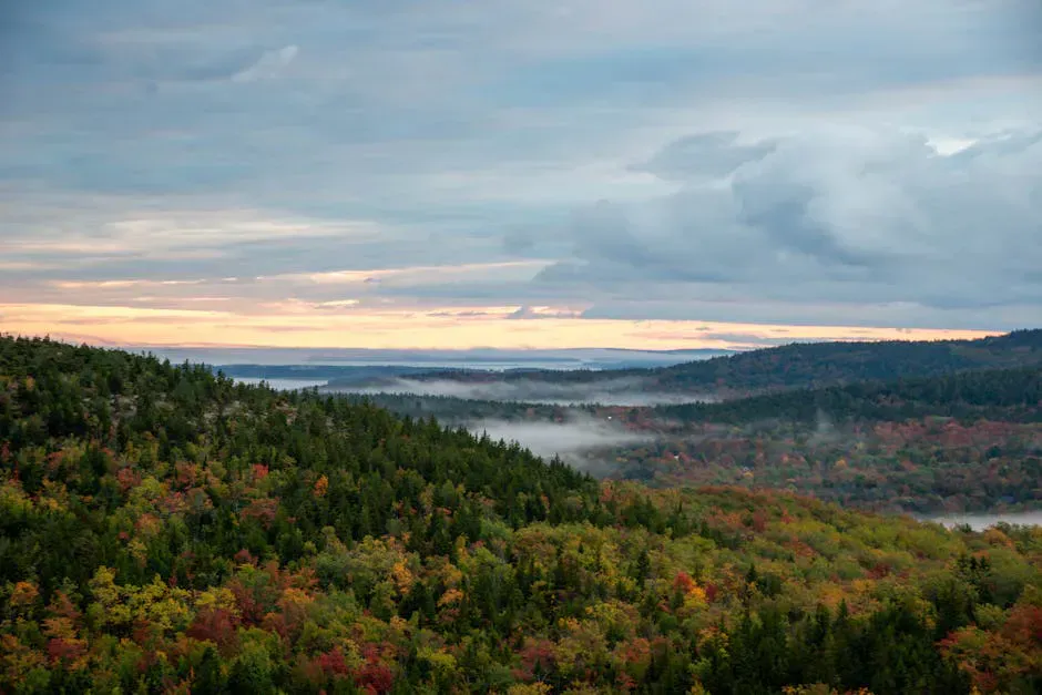 Bald Pate Mountain