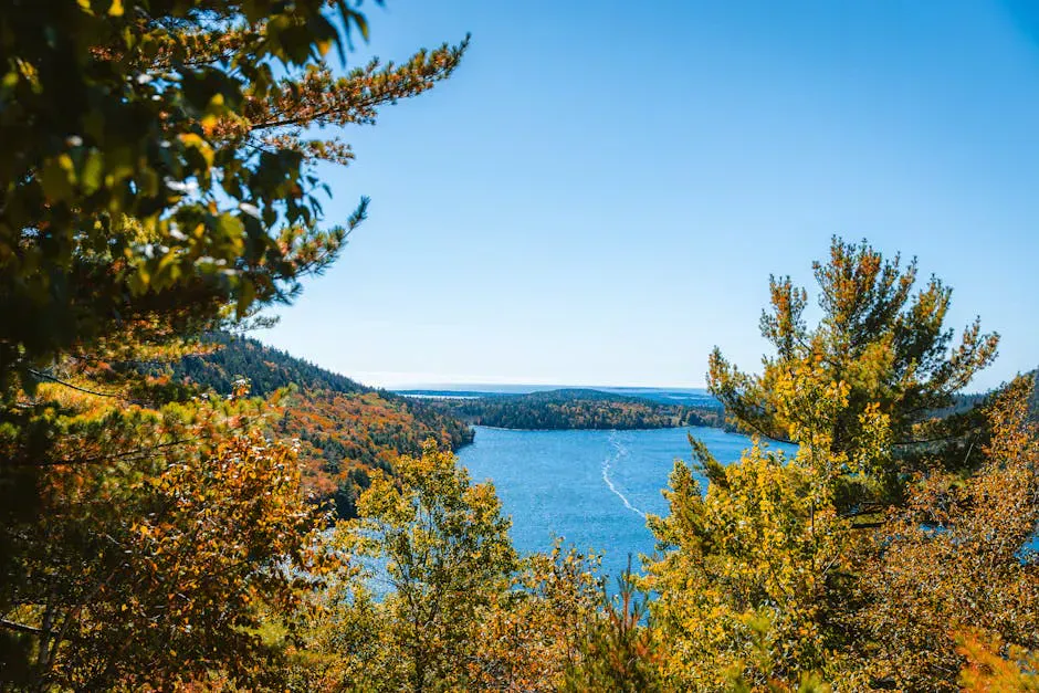 Bald Rock Mountain
