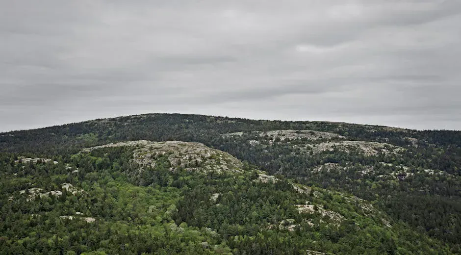 Barren Mountain