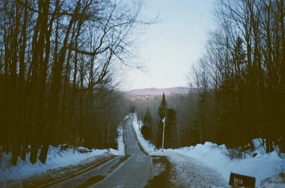 Bemis Mountain