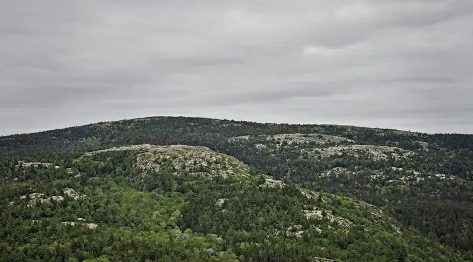 Cadillac South Ridge Trail