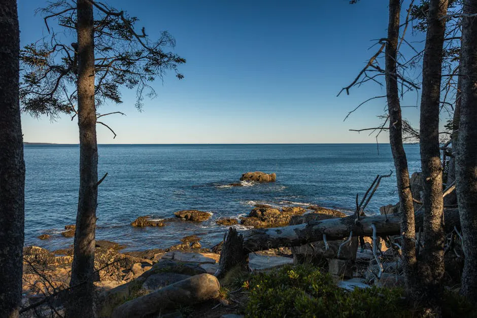 Fernald's Neck Preserve Trail