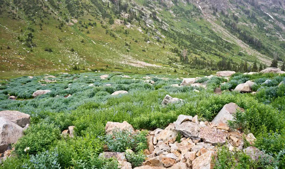 Little Jackson Mountain