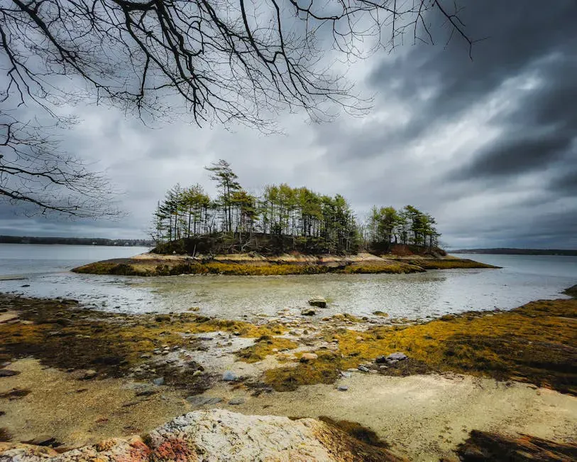 Mackworth Island