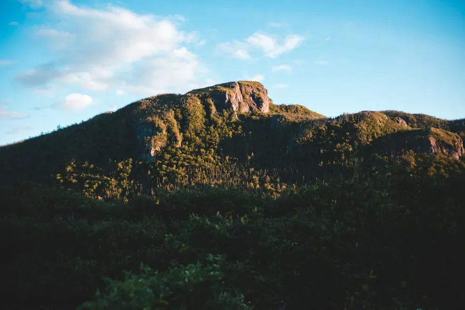 Mount Will