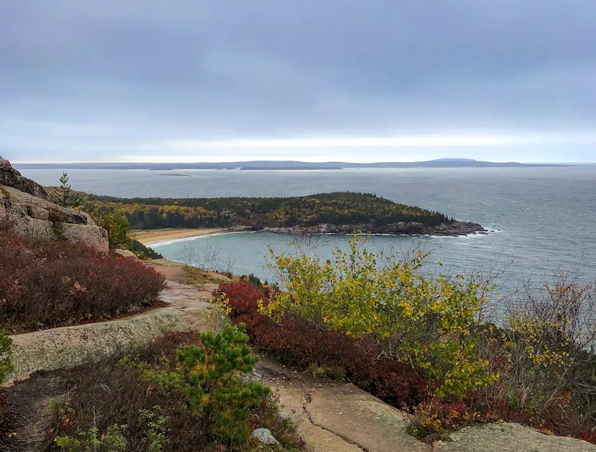 Ovens Mouth Trail