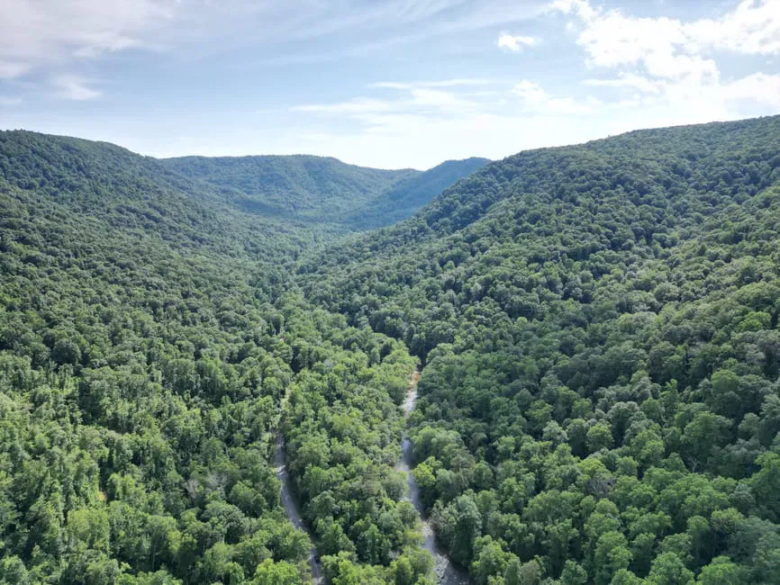 Pisgah Mountain