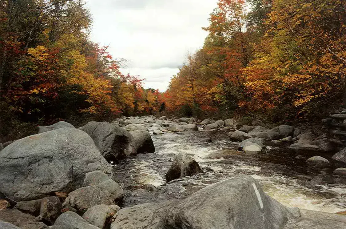 South Branch Mountain