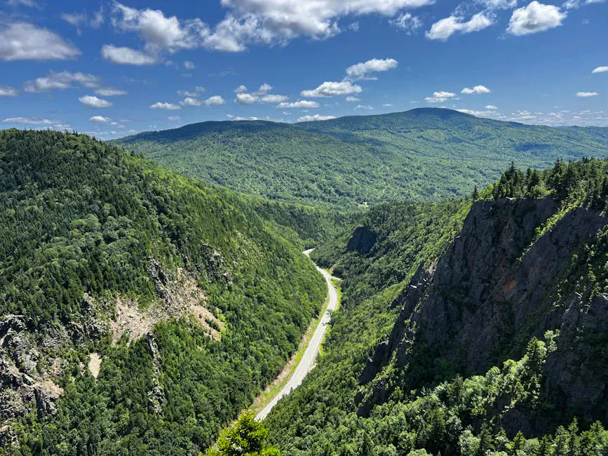 Speckled Mountain (Evans Notch)