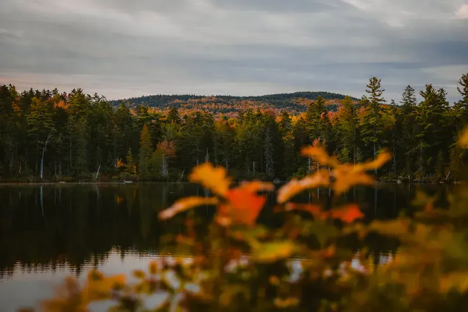 Branch Lake
