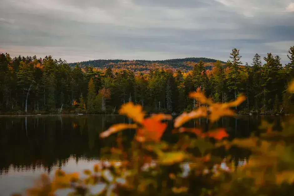 Donnell Pond