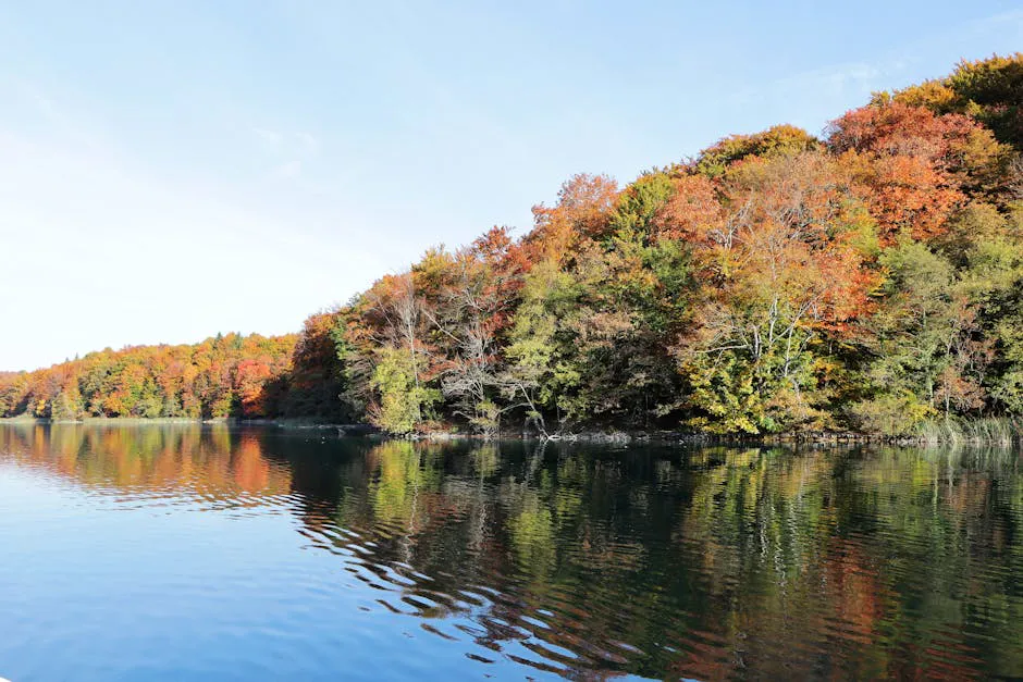 Meddybemps Lake