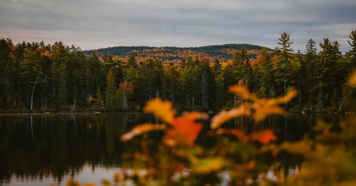 Thomas Pond