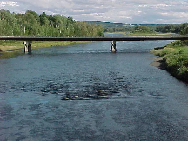 Aroostook River