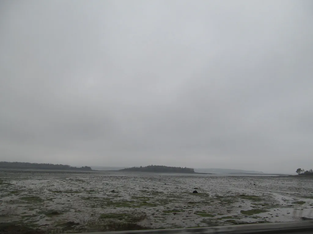 Cobscook Bay
