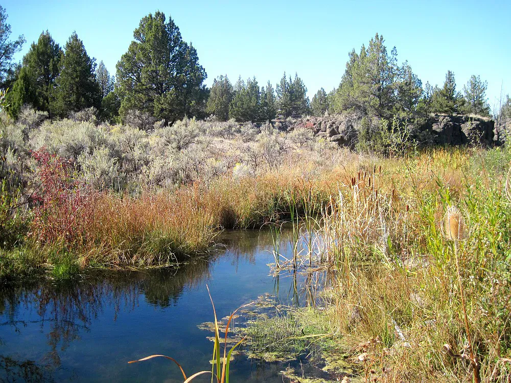 Crooked River