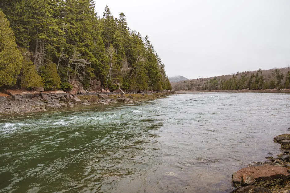Nezinscot River