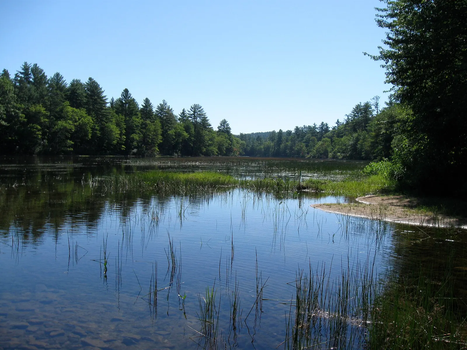 Ossipee River